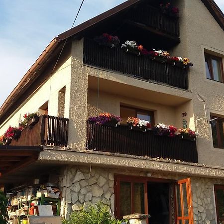 Apartmany Sharka -Sarka Justrova Decin Dış mekan fotoğraf