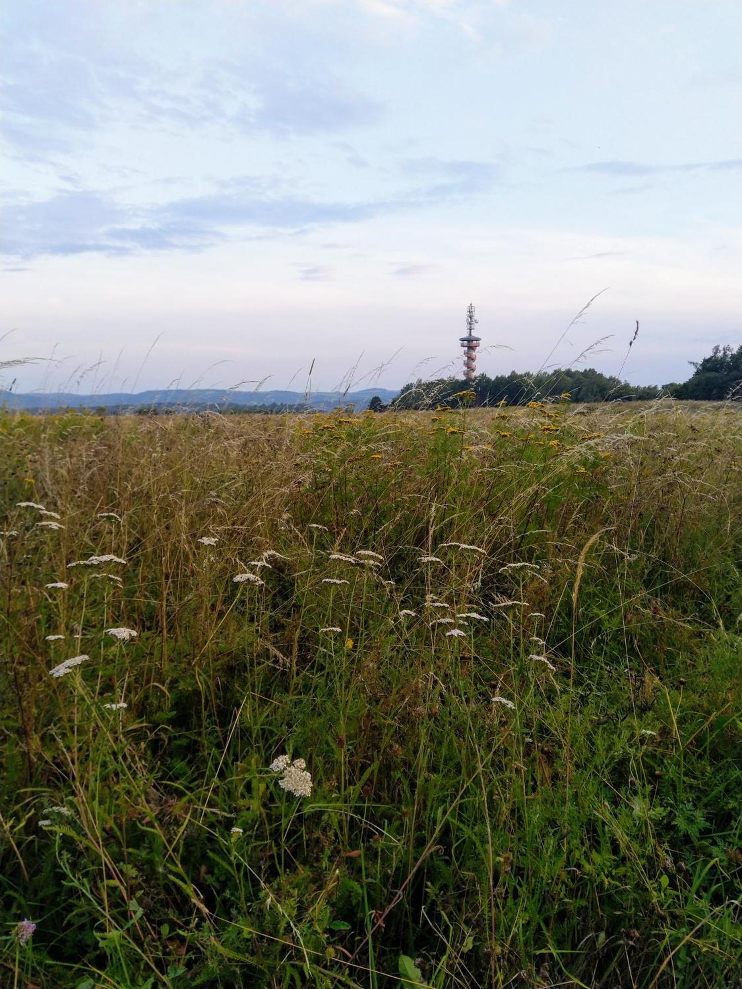 Apartmany Sharka -Sarka Justrova Decin Oda fotoğraf