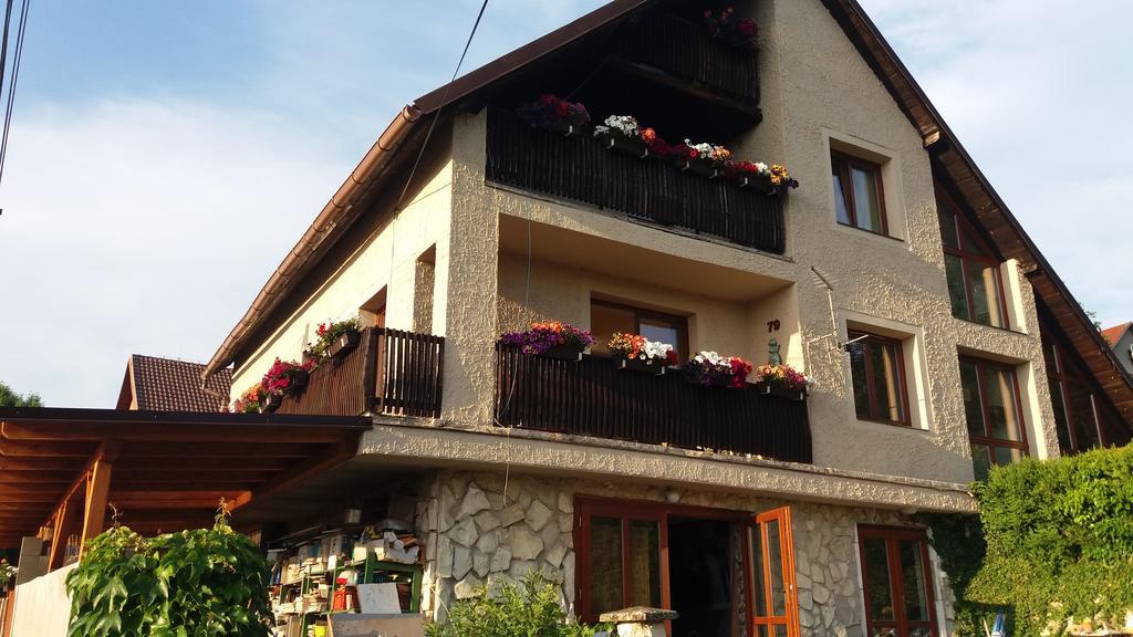 Apartmany Sharka -Sarka Justrova Decin Dış mekan fotoğraf
