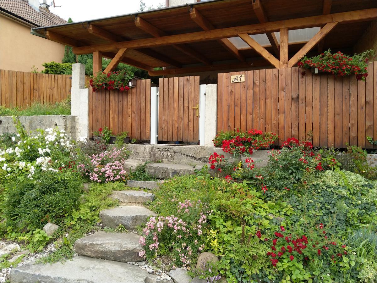 Apartmany Sharka -Sarka Justrova Decin Dış mekan fotoğraf