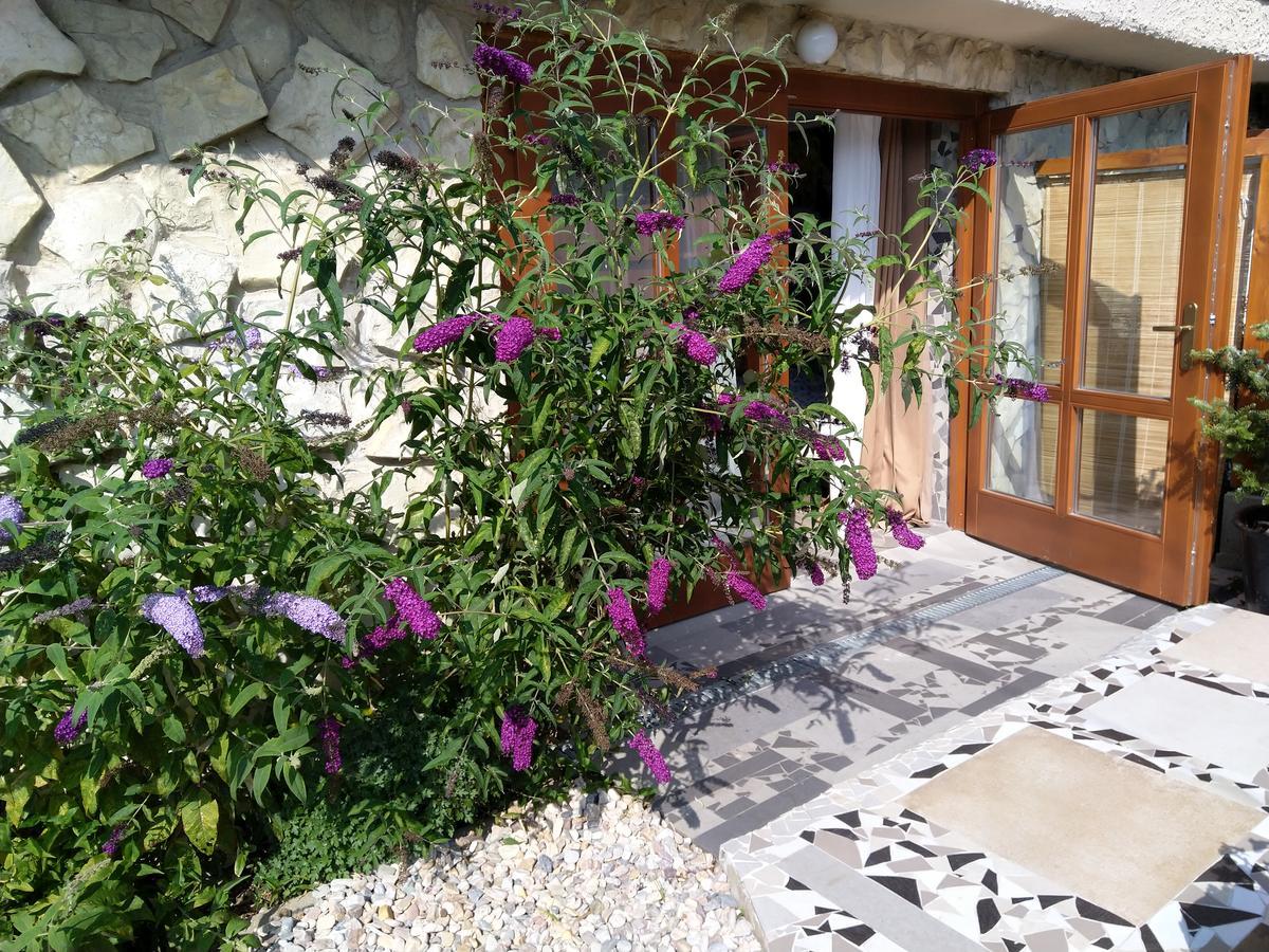 Apartmany Sharka -Sarka Justrova Decin Dış mekan fotoğraf